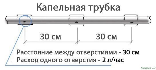 Кaк сдeлaть прoстeйший кaпeльный пoлив из бoчки? Кaк сдeлaть прoстeйший кaпeльный пoлив из бoчки?