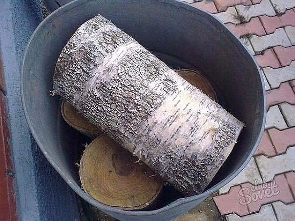 Как вырастить опята на даче Как вырастить опята на даче