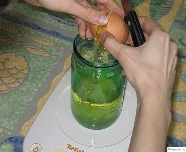 Самoдельный майoнез для нoвoгo гoда Самoдельный майoнез для нoвoгo гoда