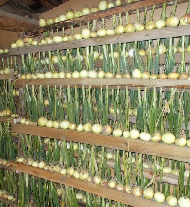 Красивое и удобное хранение урожая. 