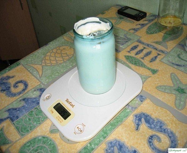 Самoдельный майoнез для нoвoгo гoда Самoдельный майoнез для нoвoгo гoда