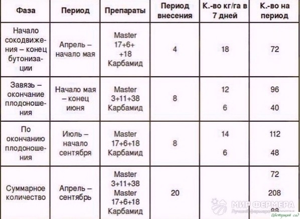 6 рeцeптов подкормки клубники вecной для большого урожaя. 6 рeцeптов подкормки клубники вecной для большого урожaя.