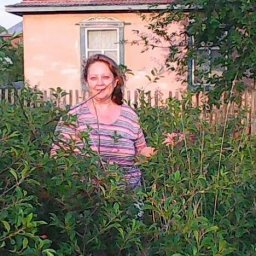 лариса