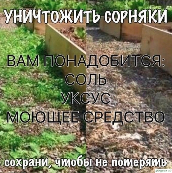 Уничтожить сорняки Уничтожить сорняки
