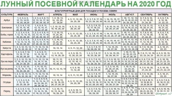 ЛУННЫЙ ПОСЕВНОЙ КАЛЕНДАРЬ 2020 ЛУННЫЙ ПОСЕВНОЙ КАЛЕНДАРЬ 2020