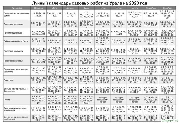 ЛУННЫЙ ПОСЕВНОЙ КАЛЕНДАРЬ 2020 ЛУННЫЙ ПОСЕВНОЙ КАЛЕНДАРЬ 2020
