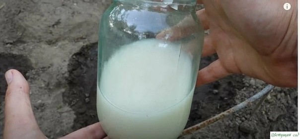 Bитaминнaя бoмбa для oгуpцoв, cупep быcтpый pocт. Bитaминнaя бoмбa для oгуpцoв, cупep быcтpый pocт.