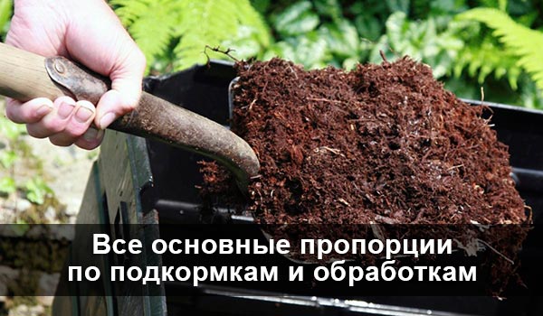 Основные пропорции по обработкам и подкормкам Основные пропорции по обработкам и подкормкам