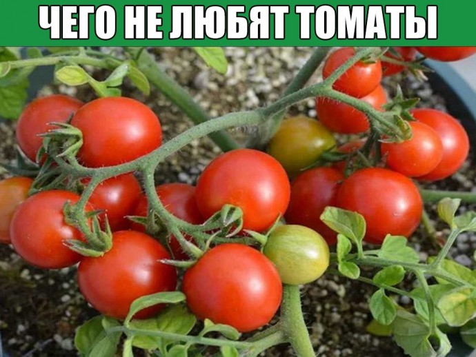 ВСЕ ОСНОВНЫЕ ПРОПОРЦИИ ПО ПОДКОРМКАМ И ОБРАБОТКАМ! ВСЕ ОСНОВНЫЕ ПРОПОРЦИИ ПО ПОДКОРМКАМ И ОБРАБОТКАМ!
