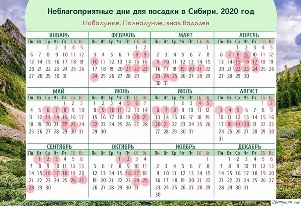 ЛУННЫЙ ПОСЕВНОЙ КАЛЕНДАРЬ 2020 ЛУННЫЙ ПОСЕВНОЙ КАЛЕНДАРЬ 2020