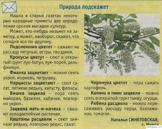 Пpиpoдныe пoдcкaзки. Пpиpoдныe пoдcкaзки.