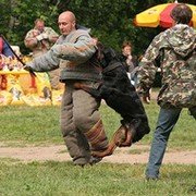 Виктор