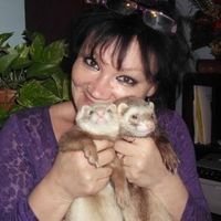 просто Silvija просто Silvija