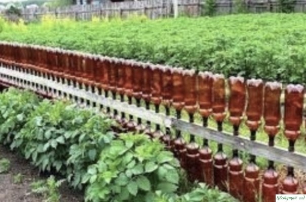 Способы применения пластиковых бутылок на даче