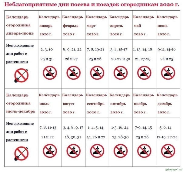 ЛУННЫЙ ПОСЕВНОЙ КАЛЕНДАРЬ 2020 ЛУННЫЙ ПОСЕВНОЙ КАЛЕНДАРЬ 2020