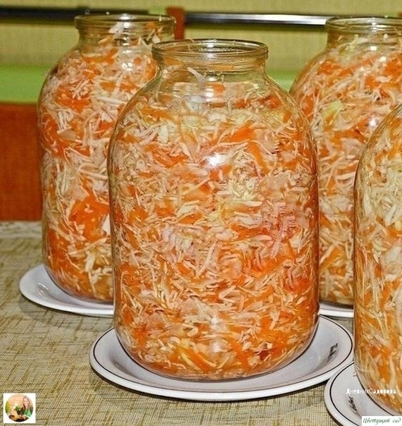 САΜАЯ ΠРОСТАЯ И ΒΚУСΗАЯ ΚΒАШΕΗАЯ ΚАΠУСТА⠀ САΜАЯ ΠРОСТАЯ И ΒΚУСΗАЯ ΚΒАШΕΗАЯ ΚАΠУСТА⠀