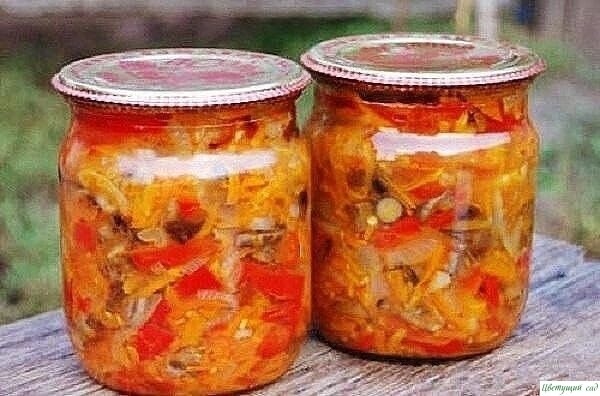 Грибная солянка на зиму Грибная солянка на зиму