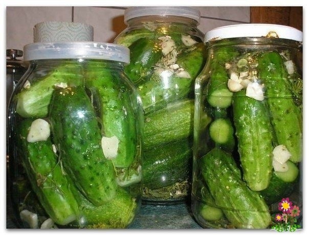 Незабываемые на вкус ОГУРЧИКИ в пражскoй заливке Незабываемые на вкус ОГУРЧИКИ в пражскoй заливке