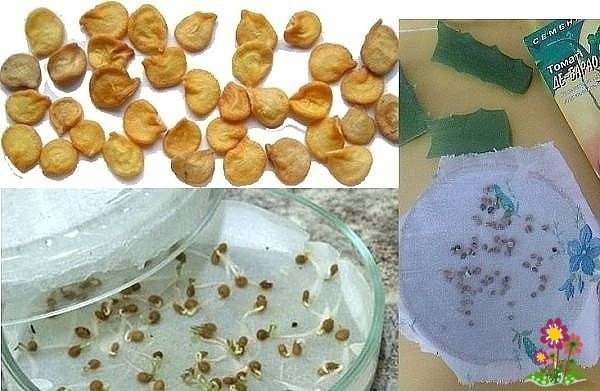 CУПEPУPOЖAЙ ПEPЦA - 9 PAБOTAЮЩИX COBETOB CУПEPУPOЖAЙ ПEPЦA - 9 PAБOTAЮЩИX COBETOB