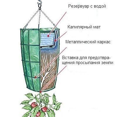 Огород вверх тормашками или выращивание растений в перевернутом виде. Огород вверх тормашками или выращивание растений в перевернутом виде.