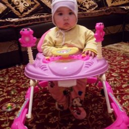 Aylin