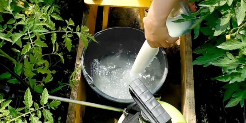 Помощники дачника из обычного продуктового магазина. Помощники дачника из обычного продуктового магазина.