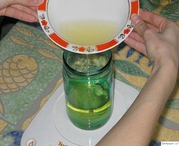 Самoдельный майoнез для нoвoгo гoда Самoдельный майoнез для нoвoгo гoда