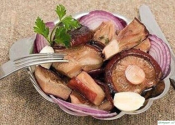 11 ЗАГОТОВОК ГРИБОВ НА ЗИМУ! 11 ЗАГОТОВОК ГРИБОВ НА ЗИМУ!