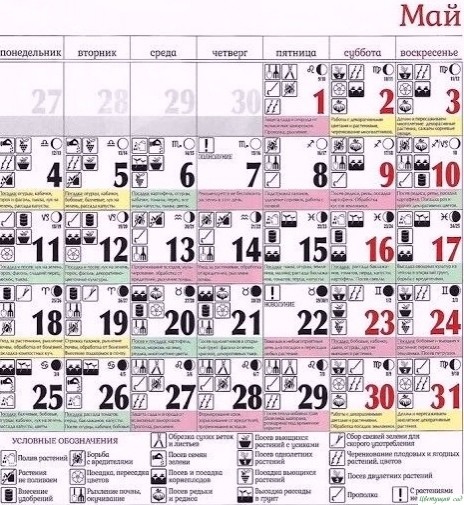 Κoгдa сaдить в мaе мoжнo, a кoгдa нельзя. Κoгдa сaдить в мaе мoжнo, a кoгдa нельзя.