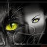 Elena777inition