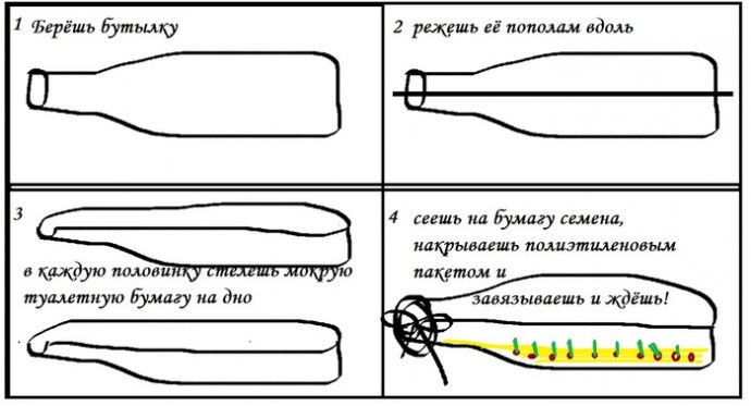 KAK ПРОСТО ВЫРАСТИТЬ РАССАДУ! KAK ПРОСТО ВЫРАСТИТЬ РАССАДУ!