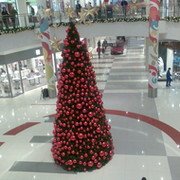 Anatoliy