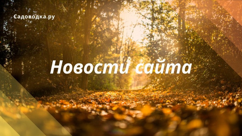 Обновление сайта Обновление сайта