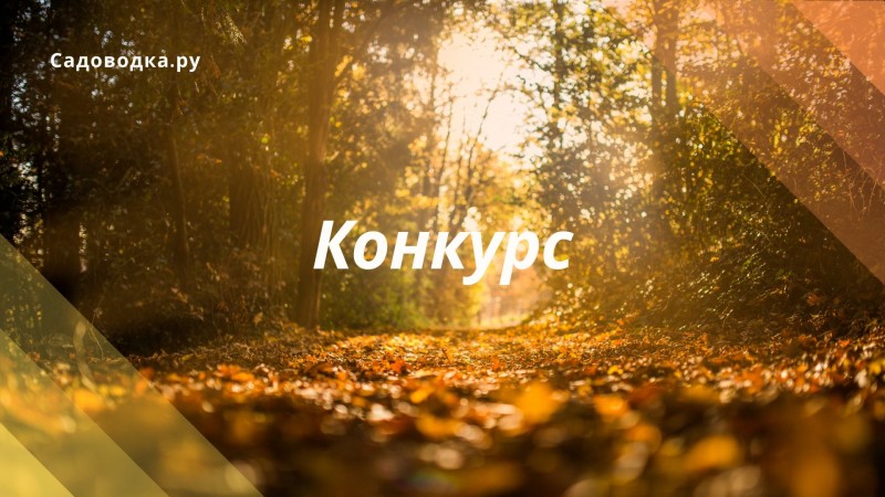 Новый конкурс! Моя прекрасная дача! Новый конкурс! Моя прекрасная дача!