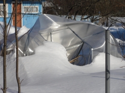 Парник