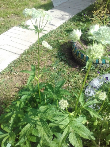 Подскажите название Подскажите название