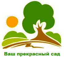 Ваш прекрасный сад
