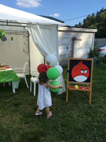 ДР сына на даче ДР сына на даче