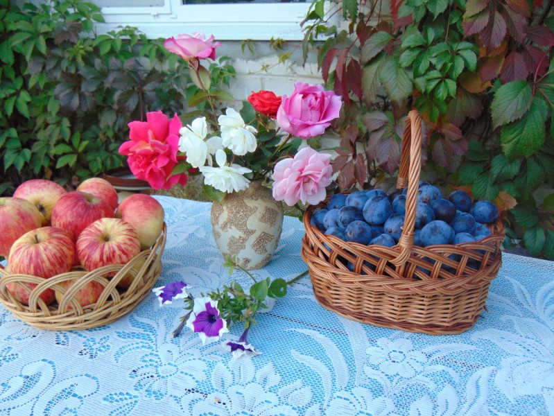 Наш урожай ( мои натюрморты).