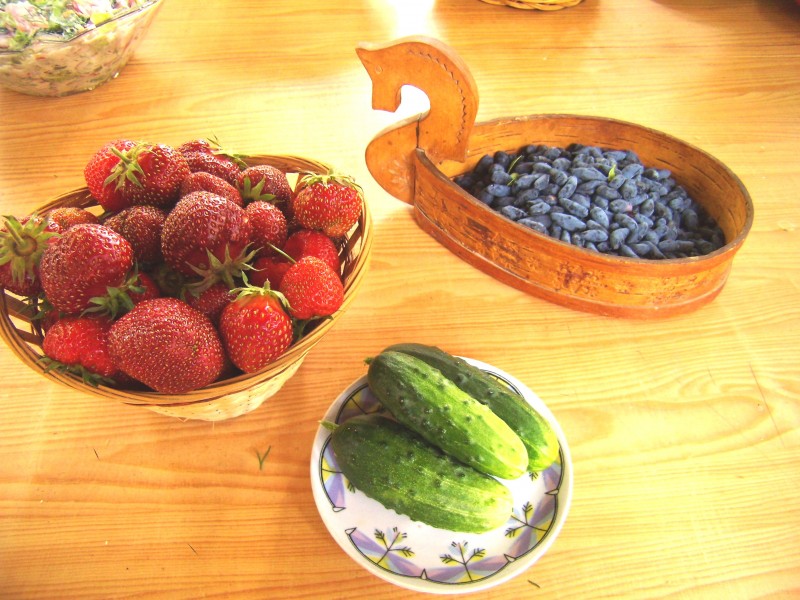 Наш урожай ( мои натюрморты).