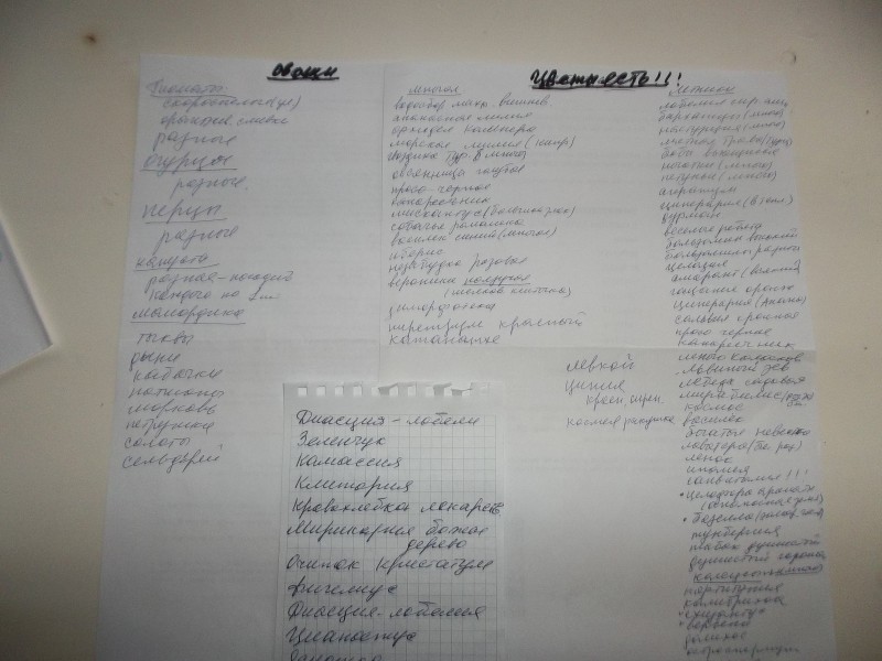 Мои наработки. Зима. Мои наработки. Зима.