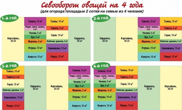 Как на небольшом участке вырастить урожай на всю семью Как на небольшом участке вырастить урожай на всю семью