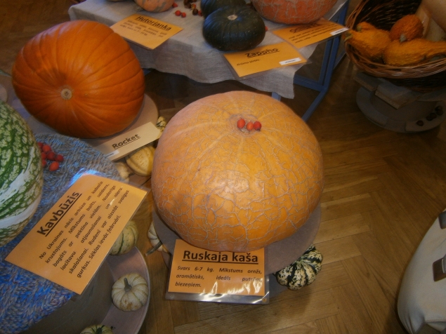 Тыква Тыква