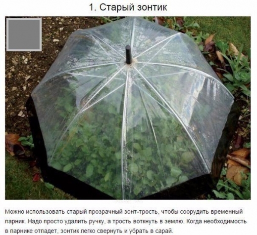 Выращивание рассады в пластиковой бутылке Выращивание рассады в пластиковой бутылке