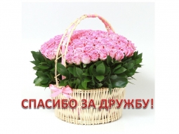 Ну и ну! Ну и ну!