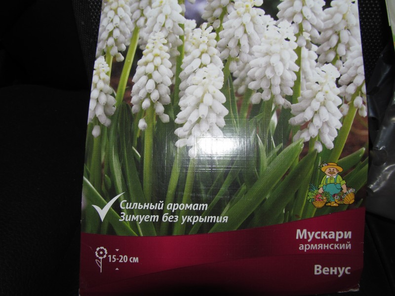 Маленький Большой Сюрприз от Анечки. Маленький Большой Сюрприз от Анечки.