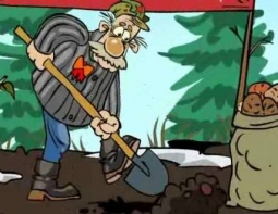 Модератор Модератор