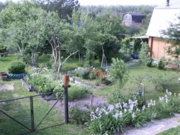 СОВЕТЫ ОГОРОДНИКАМ СОВЕТЫ ОГОРОДНИКАМ