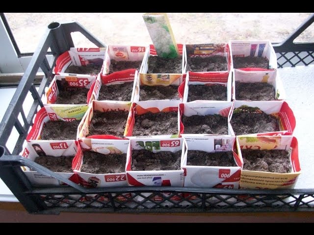 Емкость для рассады