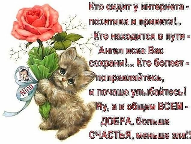 Важно! Позивно! Мыслить! С Днем Влюбленных! Важно! Позивно! Мыслить! С Днем Влюбленных!